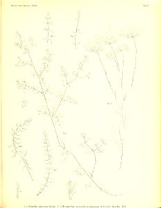 n384_w1150