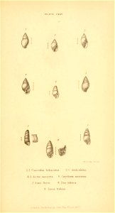 n566_w1150