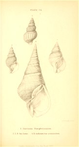 n536_w1150