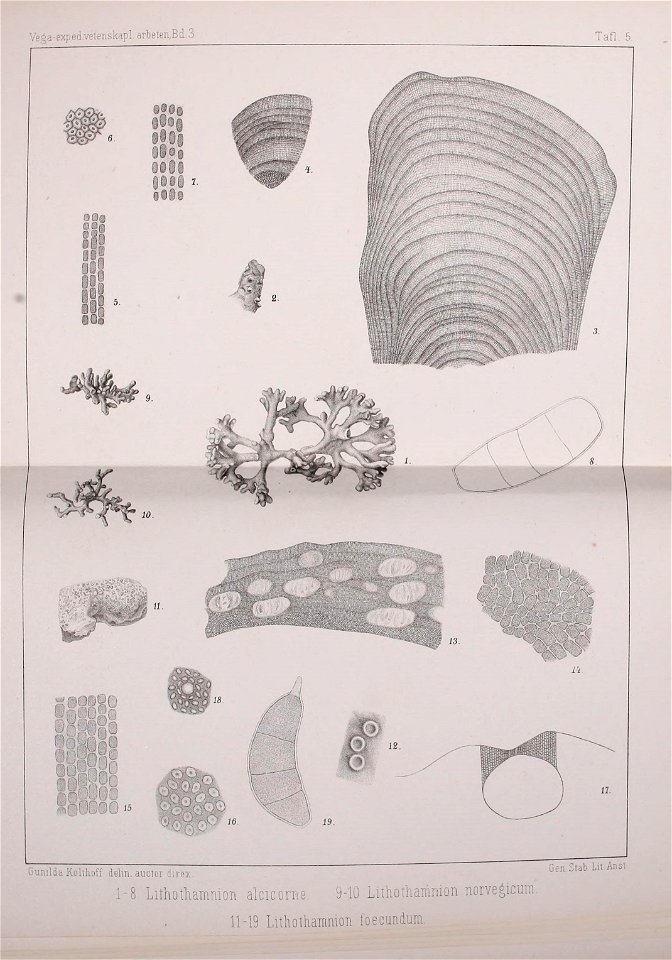 n468_w1150