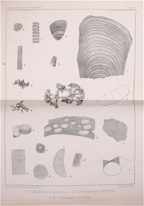 n468_w1150