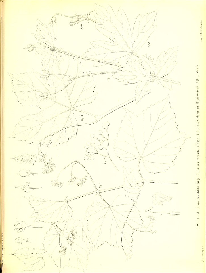 n382_w1150