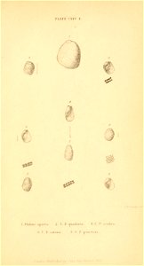 n592_w1150