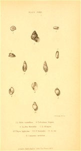 n560_w1150