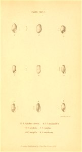 n588_w1150