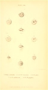 n558_w1150