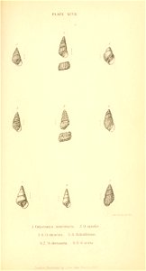 n510_w1150