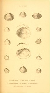 n390_w1150
