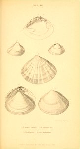 n360_w1150