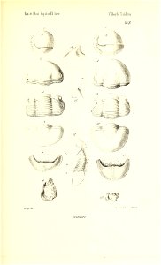 n94_w1150