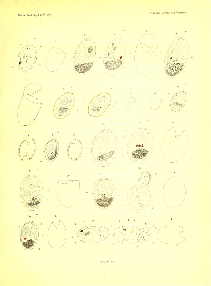 n562_w1150