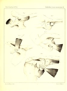 n598_w1150