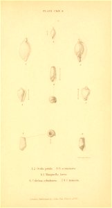 n586_w1150