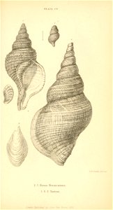 n526_w1150