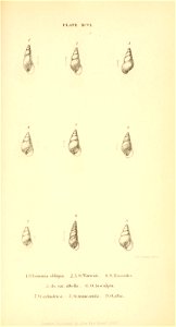 n508_w1150