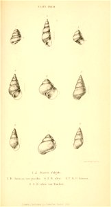 n478_w1150