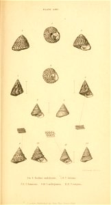 n448_w1150