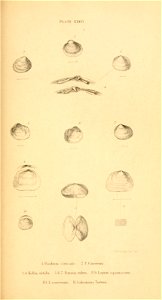 n388_w1150