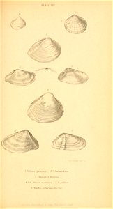 n358_w1150