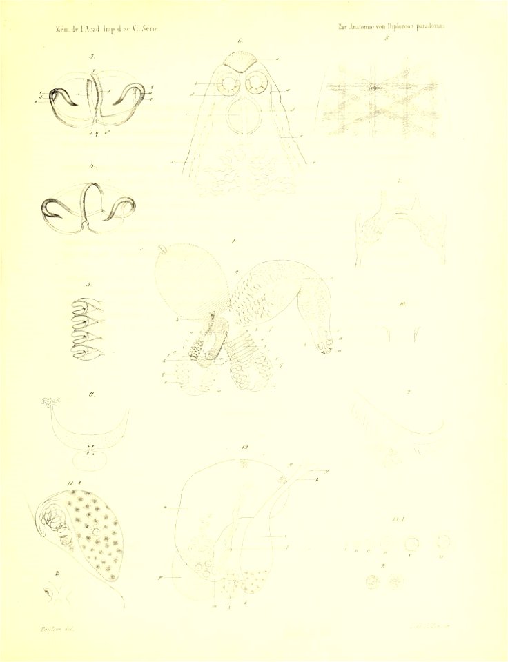 n422_w1150