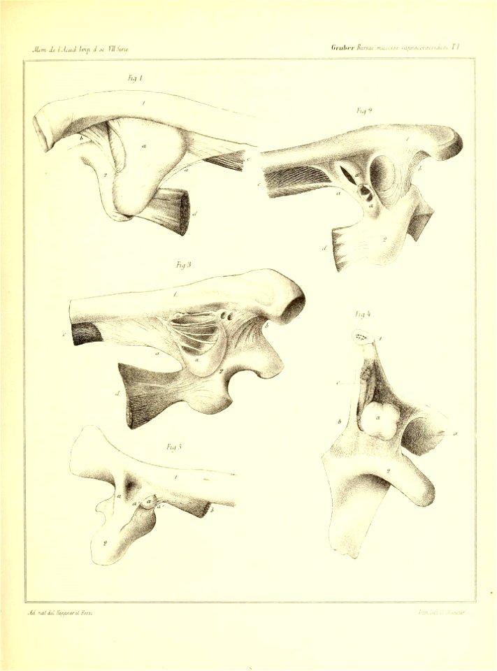 n596_w1150