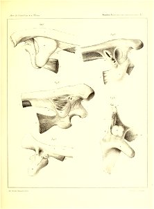 n596_w1150