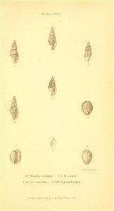 n584_w1150
