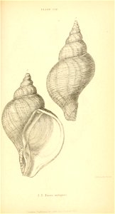 n524_w1150