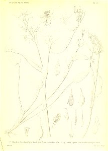 n400_w1150