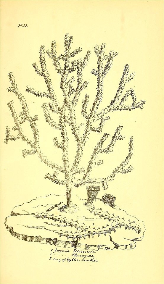 n398_w1150