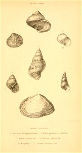 n582_w1150