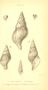 n522_w1150