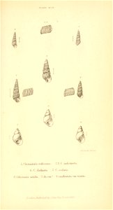 n504_w1150