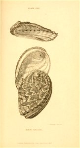 n444_w1150