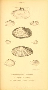 n354_w1150