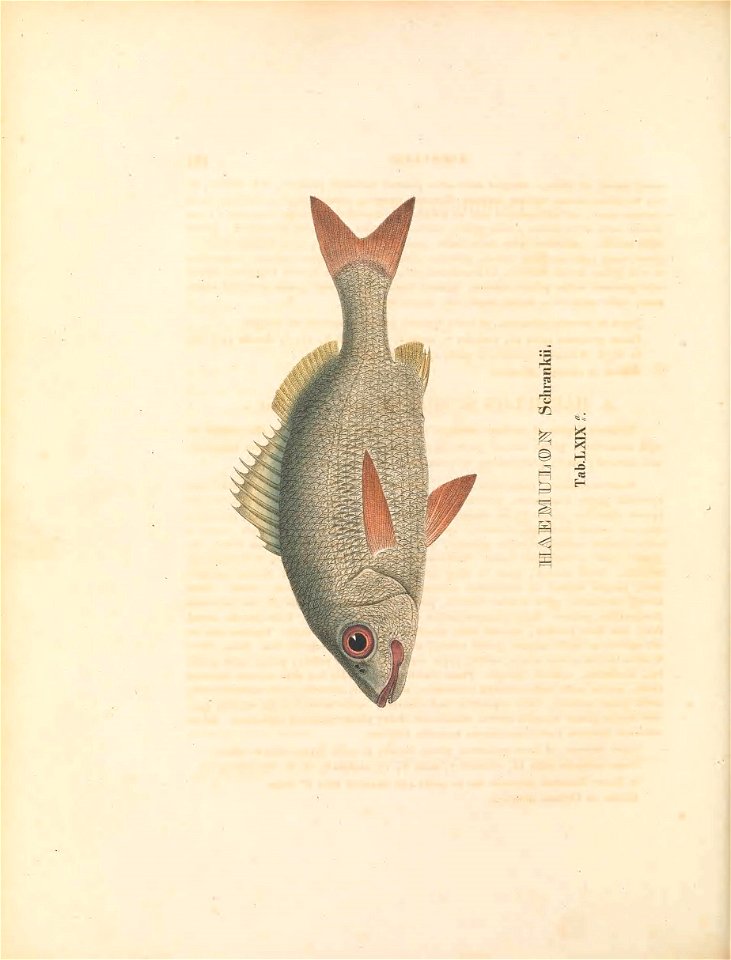 n361_w1150