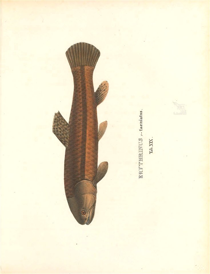 n152_w1150