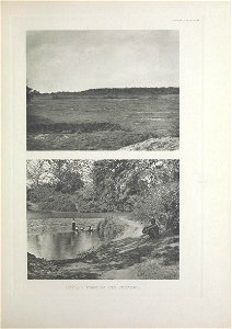 n334_w1150