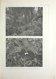 n134_w1150