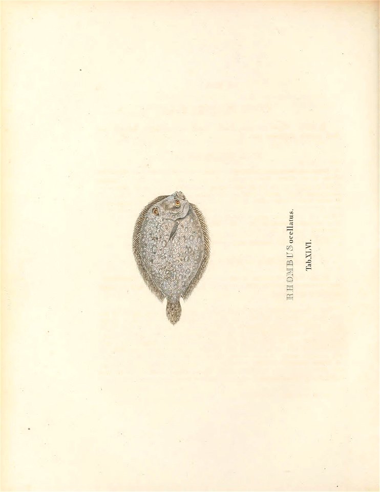 n253_w1150