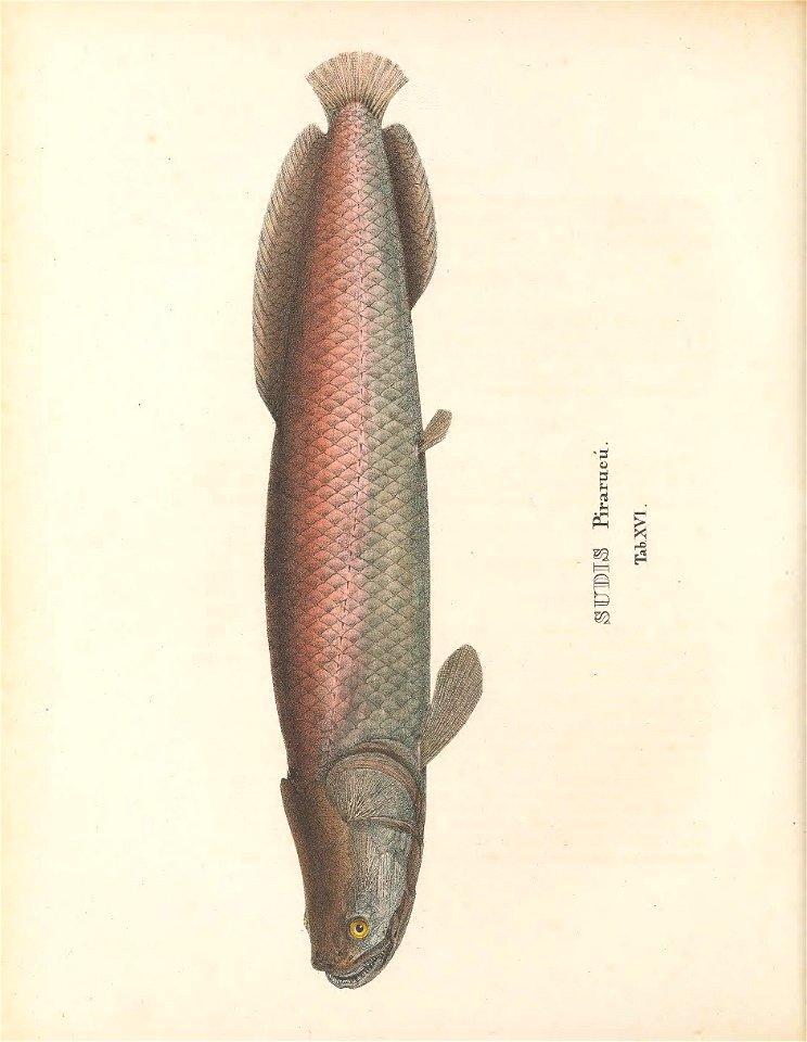 n139_w1150