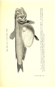 n338_w1150