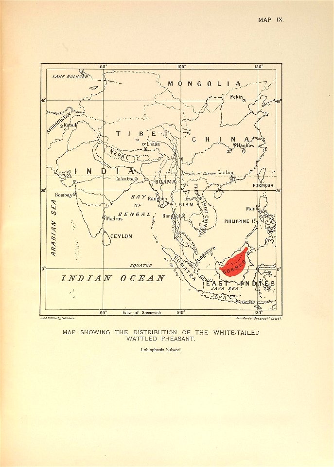 n294_w1150