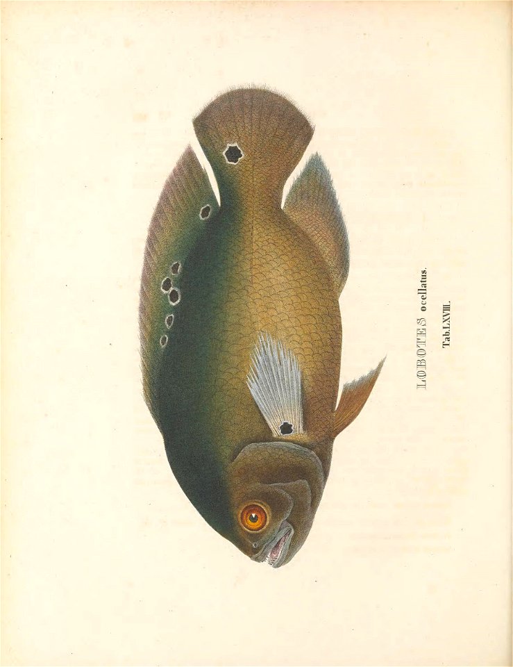 n355_w1150