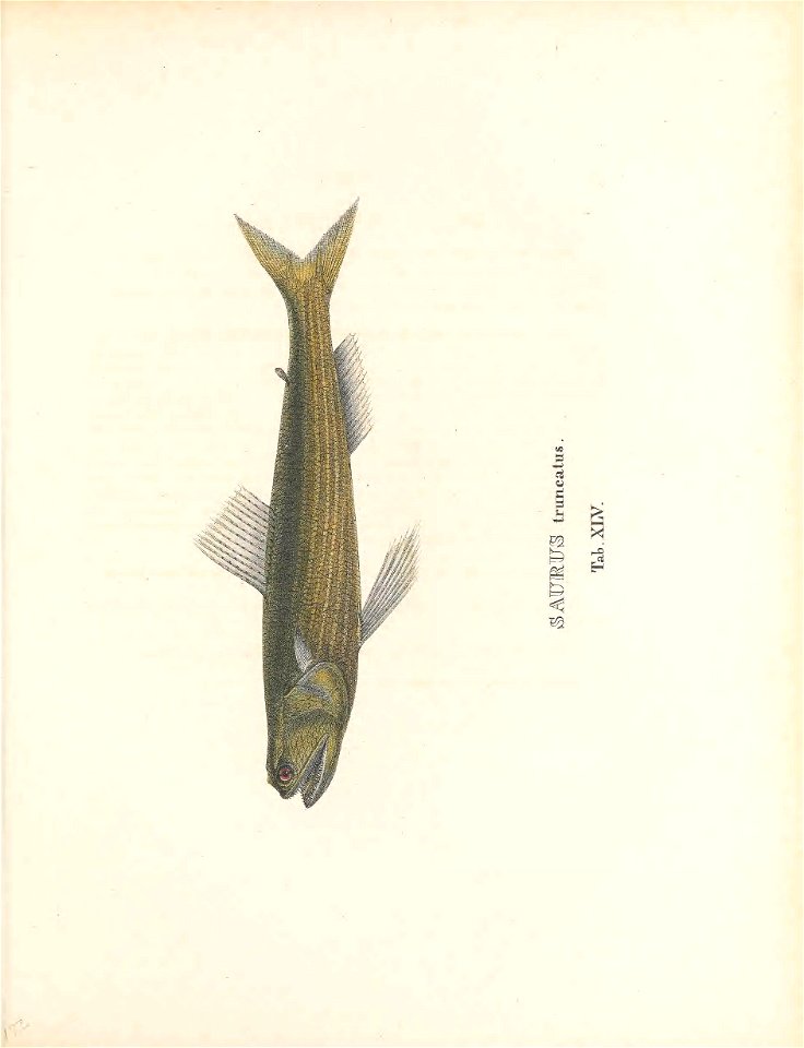n248_w1150