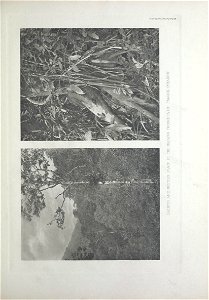 n106_w1150