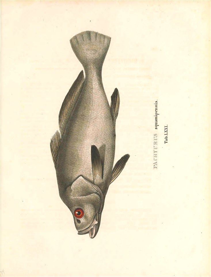 n352_w1150