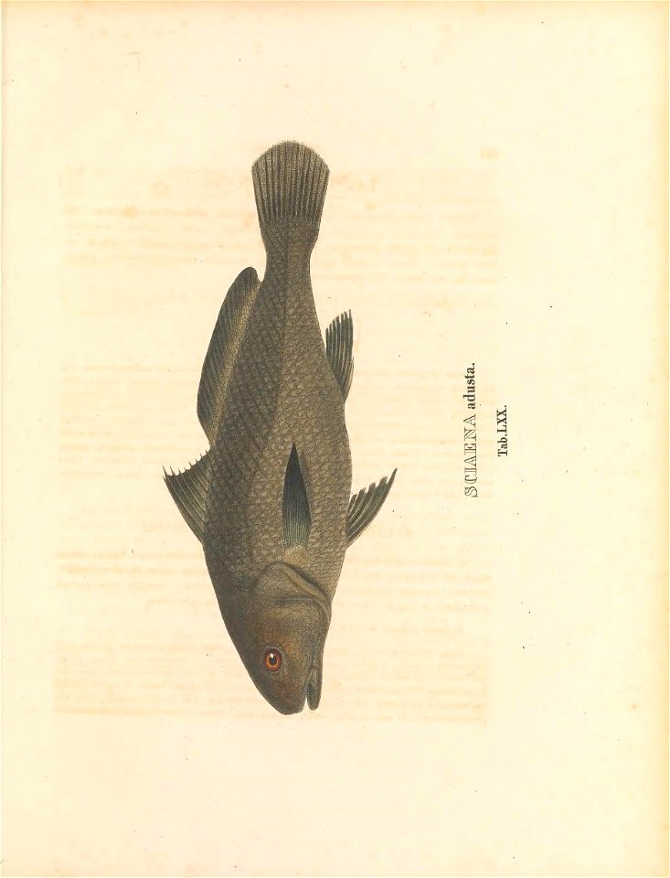 n348_w1150