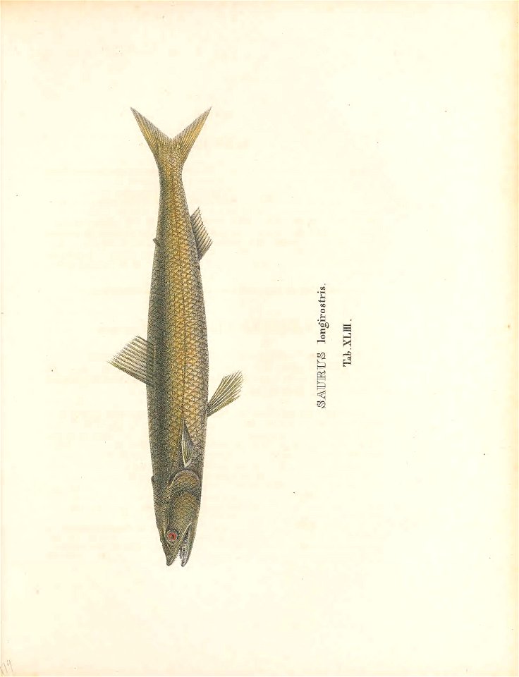 n242_w1150