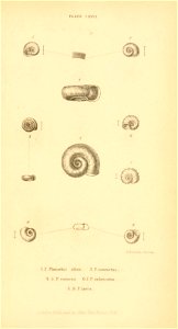 n568_w1150